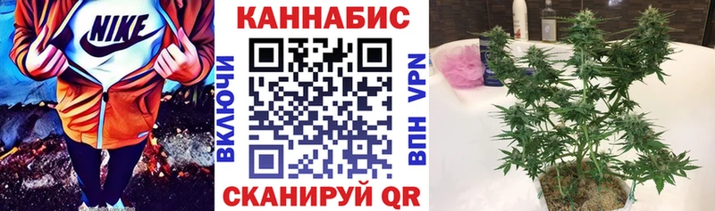 Бошки марихуана план Мосальск
